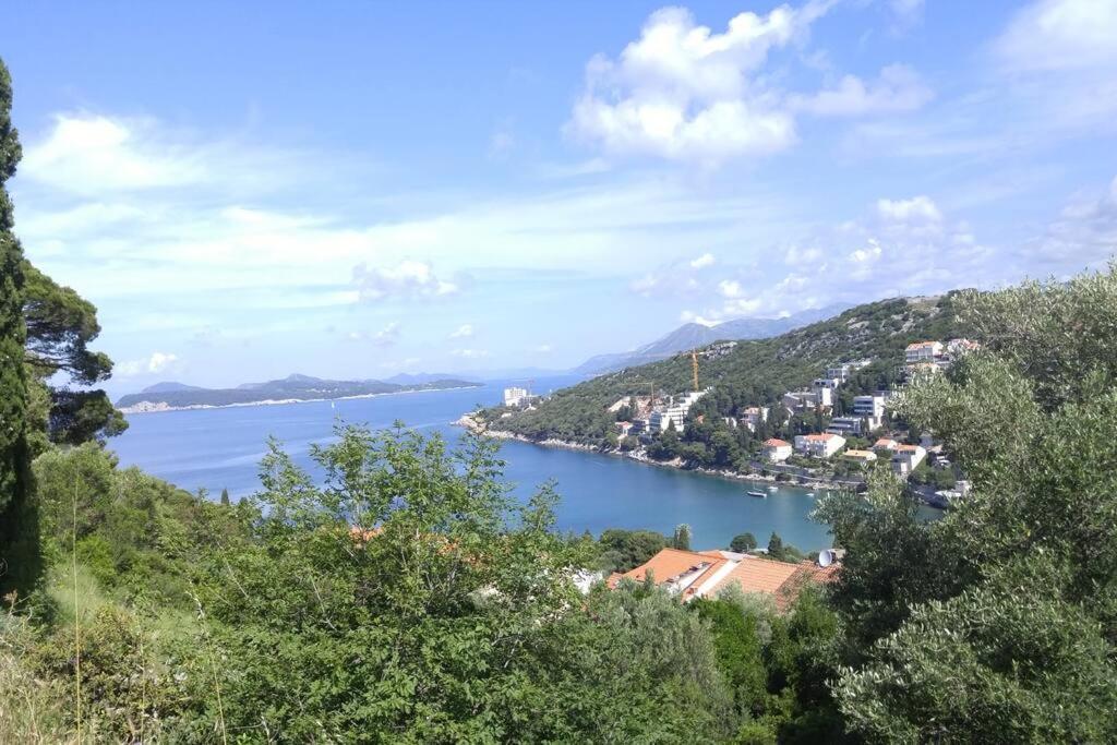 Beachfront Dubrovnik Villa Buitenkant foto